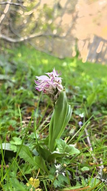 Весна на конных прогулках в Геленджике село Прасковеевка!