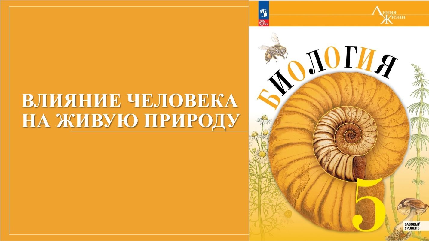Урок 31. Влияние человека на живую природу