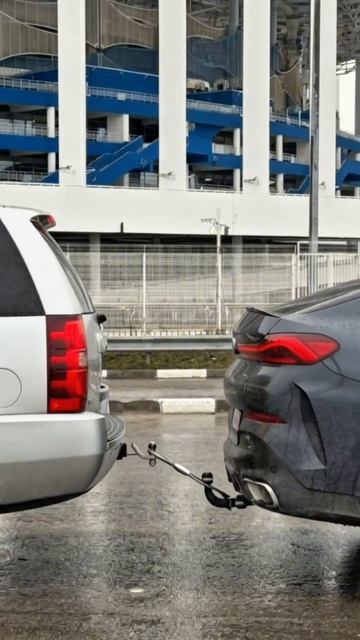 Встретились два собачника...