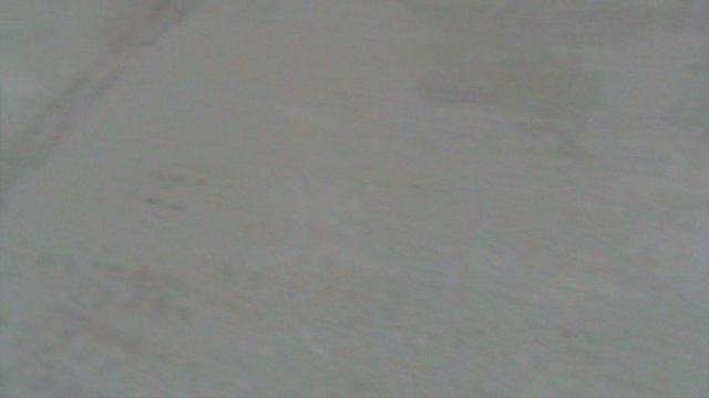 86ГЕЛЕНЖИК САФАРИ ПАРК2015 ГОД