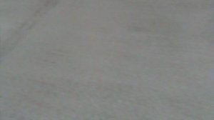 86)ГЕЛЕНЖИК САФАРИ ПАРК(2015 ГОД)