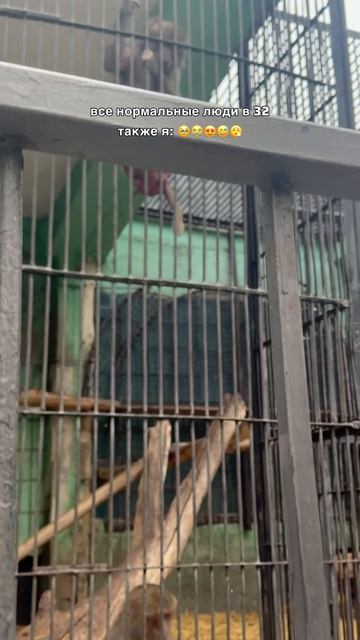 теп временем я: 🥹