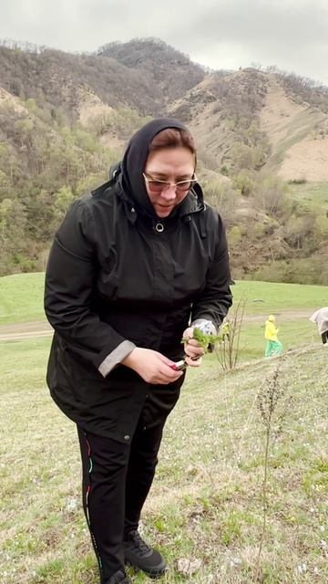 Кавказский букет