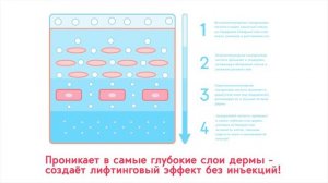 Сыворотки Система гиалуроновых кислот 2200 кДа 08 кДа - с пептид