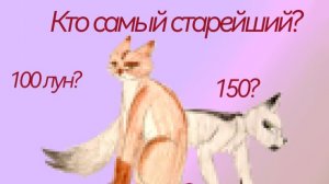 🍋Самые старейшие коты в КВ🍋