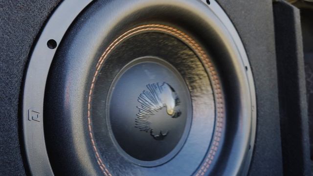 Обзор новинки от DL AUDIO Piranha 12A Black 2.1 V.2 12V  220V дома и в машине 