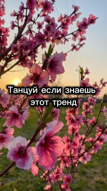 Тапсуй если знаешь этот тренд