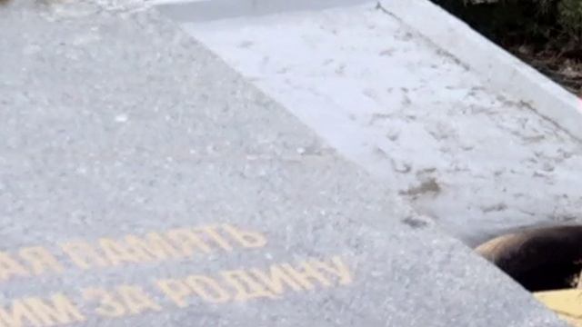 ПСЫиСВЯТЫНИ