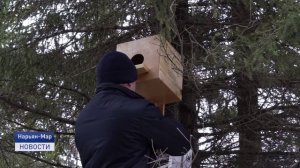 Новости Ненецкого АО от 16.04.2026