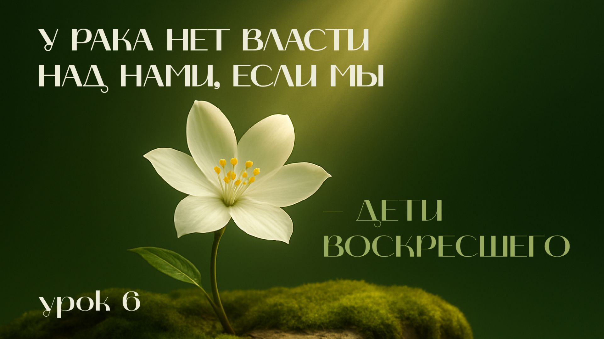 Христос победил смерть | Древо жизни