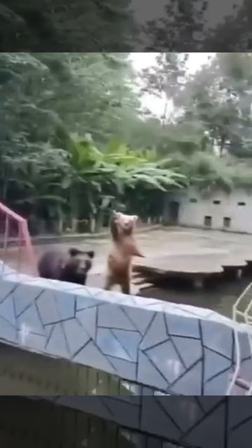 И нам тоже дай.