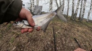 Рыбалка на фидер в апреле. Открытие сезона 2026.