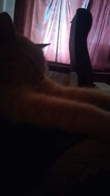 VID_20260416_152643.mp4