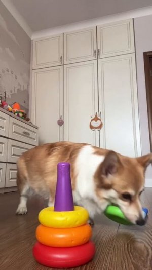 А если разложить не по порядку