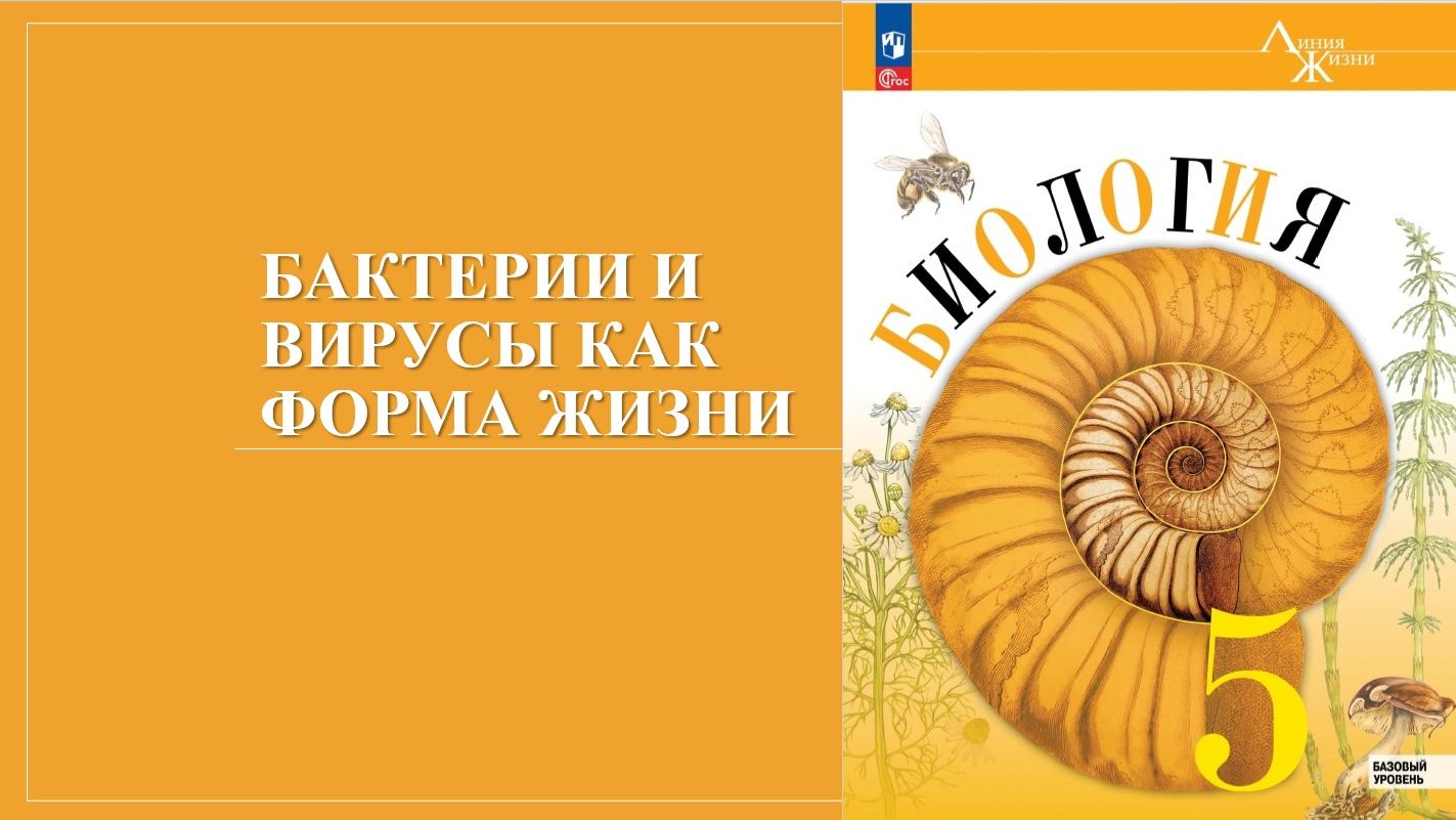Урок 18. Бактерии и вирусы как форма жизни