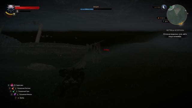 Ведьмак 3. Дикая Охота - Прохождение - №9