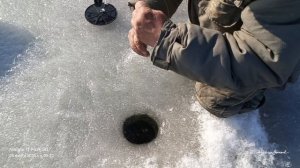 Ловим Судака на Белом озере, март 2026.