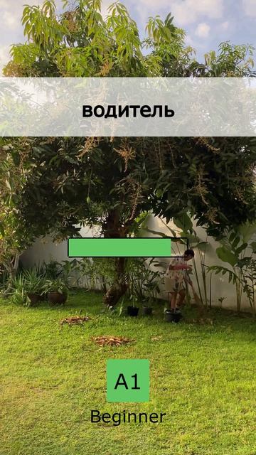 ⏳ Всего 1 минута в день! Уровень A1 (30 April 2026)