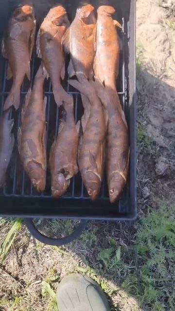 На рыбалке часть 2