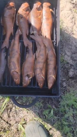 На рыбалке, часть 2