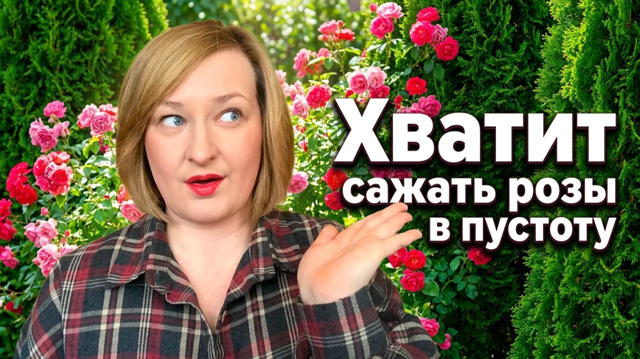 Розы и хвойные: секрет «дорогого» сада. Как создать благородный контраст?