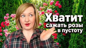 Розы и хвойные: секрет «дорогого» сада. Как создать благородный контраст?