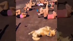 Весёлая аэробика