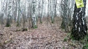 🎥МАРШРУТ ВЫХОДНОГО ДНЯ /ЭКОПРОГУЛКИ HD/