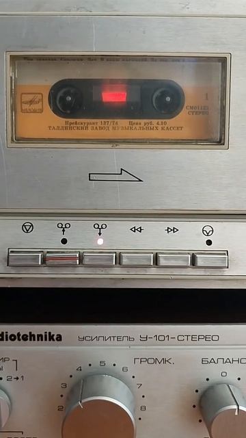 в краю магнолий