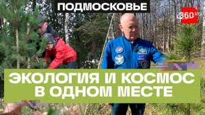 Космическая природа: кедры в память о Юрии Гагарине в «Звездном городке»