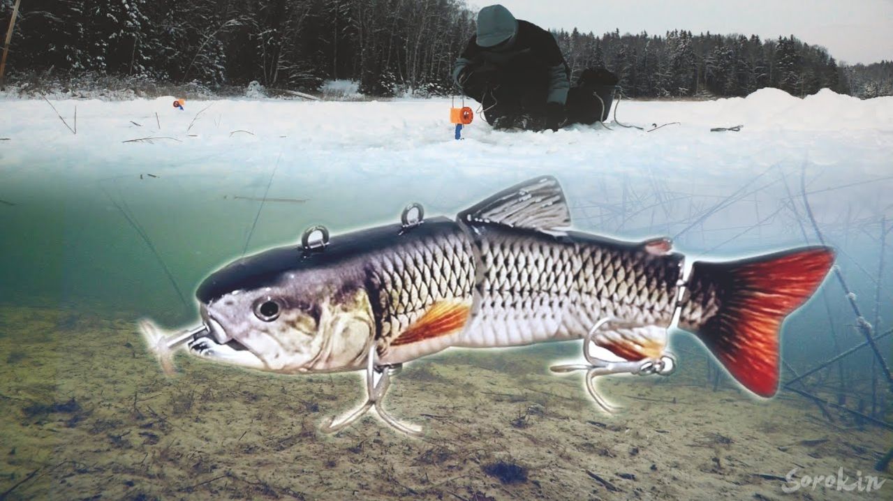 Крутейшая Зимняя Подводная Рыбалка на жерлицы. Лучшая Подводная Видео Съёмка. Русская Рыбалка Онлайн