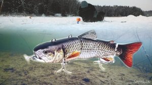 Крутейшая Зимняя Подводная Рыбалка на жерлицы. Лучшая Подводная Видео Съёмка. Русская Рыбалка Онлайн