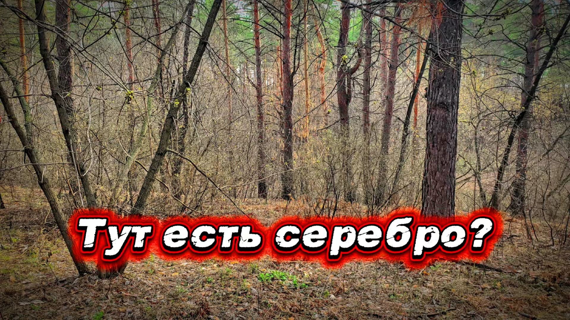 В поисках серебра на новом месте с металлоискателем skycruiser s63.