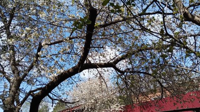 Что сегодня на обед Везде нужны мои руки .