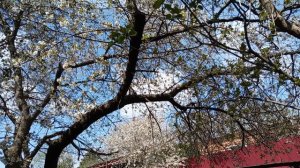 Что сегодня на обед 🍲🍗🍖Везде нужны мои руки 👇👆👉👈.