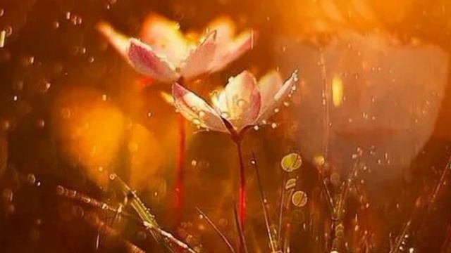 М.872)) Молимся вместе. Озлобленность.