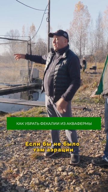 Как содержать рыбу на акваферме в чистоте? Смотрите полный выпуск! рыба рыбоводство акваферма