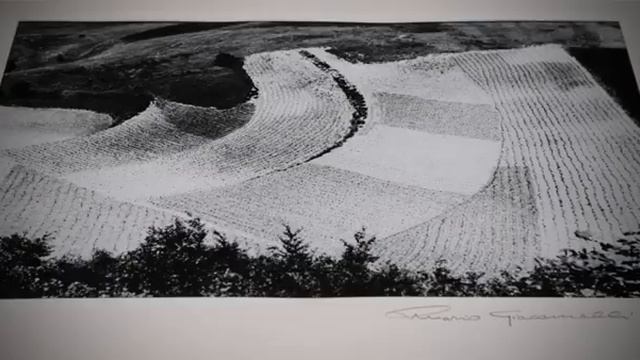 Беседы о фотоискусстве #13 Плагиат?