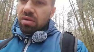 Прогулка в лесу