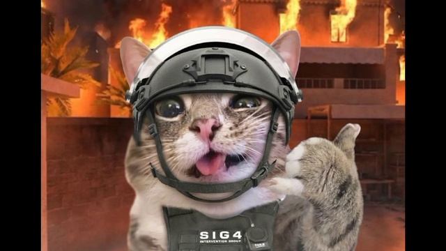 фотки Standoff 2