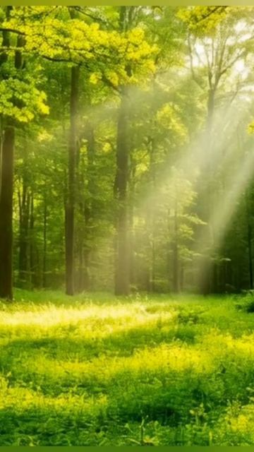 медитация на природе