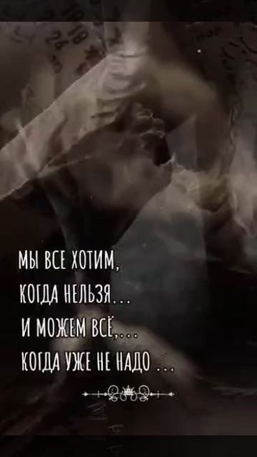 video_2026-04-16_14-36-45