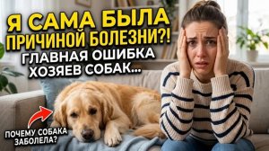 Истории из Жизни Даже и подумать не могла, что причиной плохого самочувствия моей собаки была я