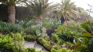 Путешествия прошлых лет. 2005 - 2021 г. Испания. Тенерифе. Часть 3.