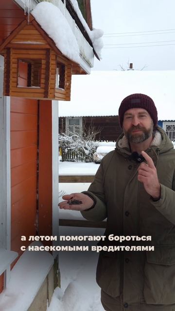 ❄️ Январь в саду: снег и морозы с пользой #SemenaPartnerShorts