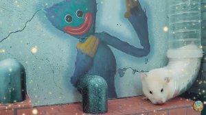 Хомячок убегает из опасного цветочного лабиринта! 7 часть