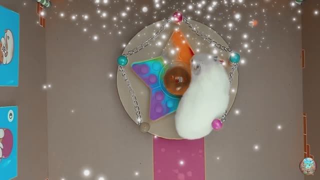 Хомячок убегает из опасного цветочного лабиринта! 3 часть