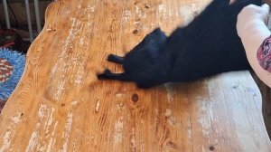 Распаковка с ВЛАДТЕКС/Трикотаж/ 90 рублей за килограмм.