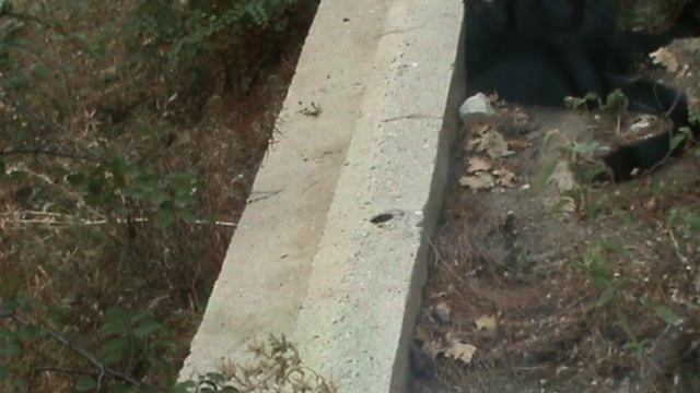 84)ГЕЛЕНЖИК САФАРИ ПАРК(2015 ГОД)