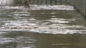 Закрыто движение по мосту через реку Воронеж, между селом Ступино и деревней Ивницы